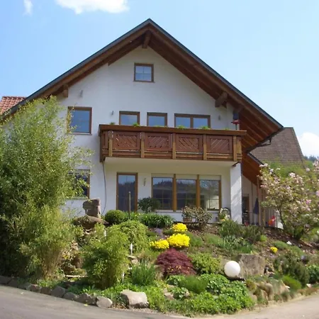 Mit Terasse Im Schwarzwald Seebach