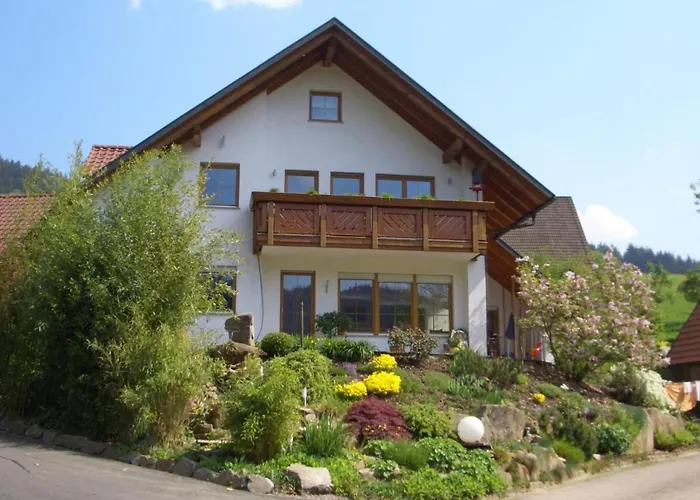 Mit Terasse Im Schwarzwald Seebach